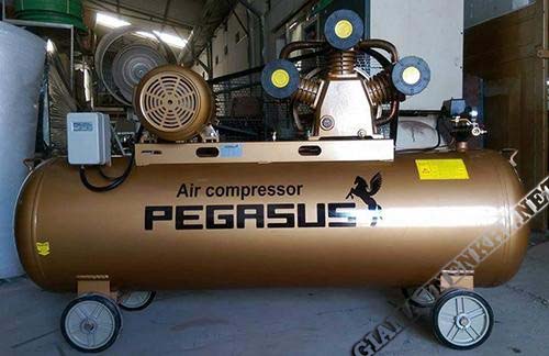 Dòng máy nén khí Pegasus được sản xuất trong nước