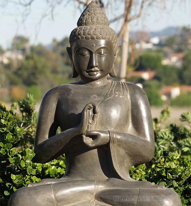 Vô tri trong Phật giáo